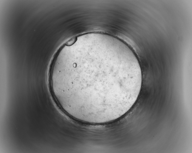 X0000091571135200709171053