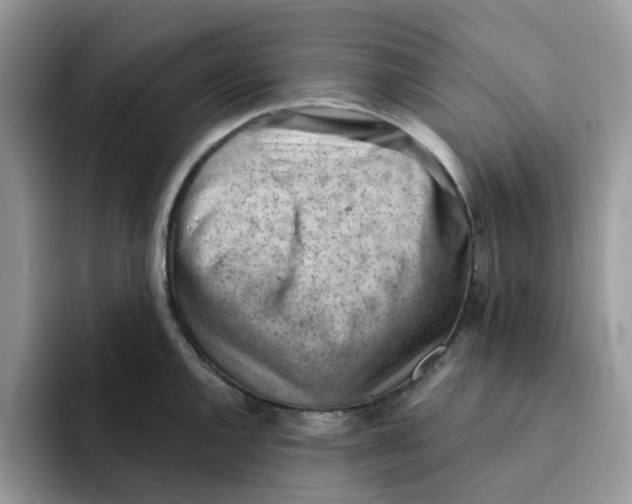 X0000091571144200709171053