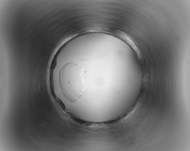 X0000091571146200709171053