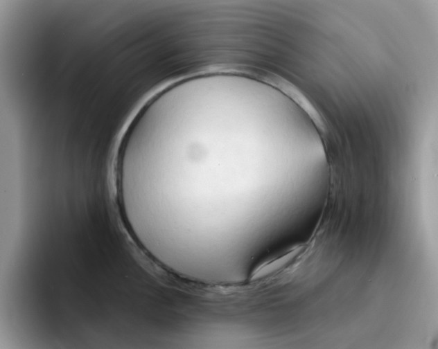 X0000091571148200709171053