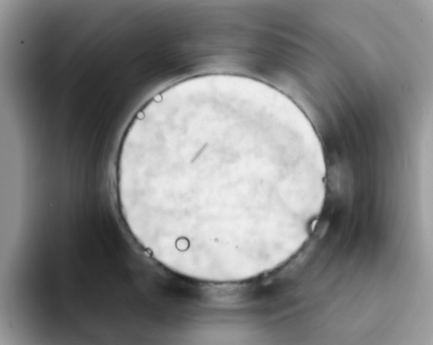 X0000091571150200709171053