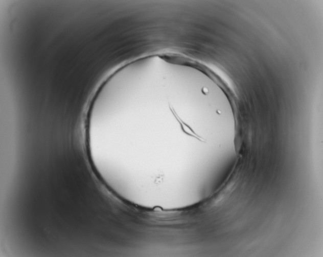 X0000091571151200709171053