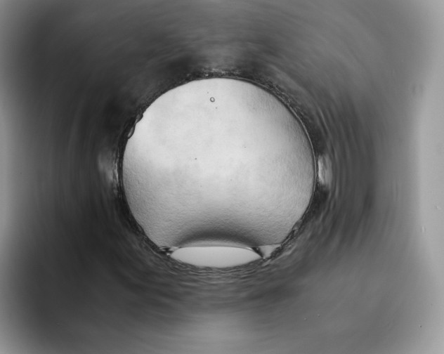 X0000091571155200709171052