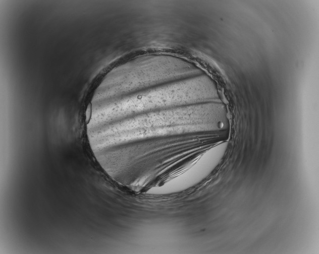 X0000091571160200709171052