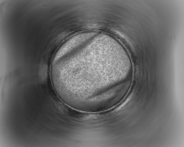 X0000091571161200709171052