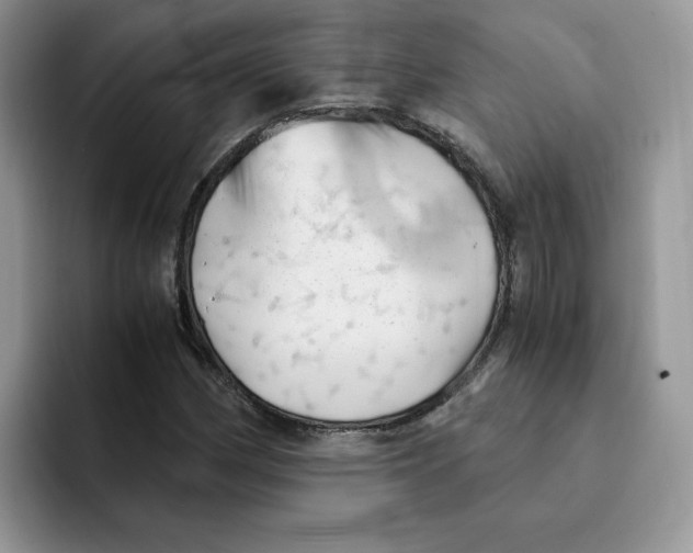 X0000091571162200709171052