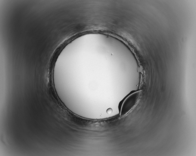 X0000091571165200709171052