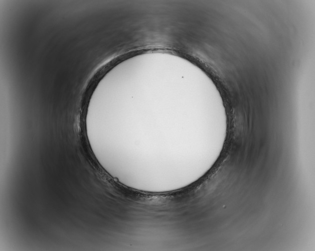 X0000091571166200709171052