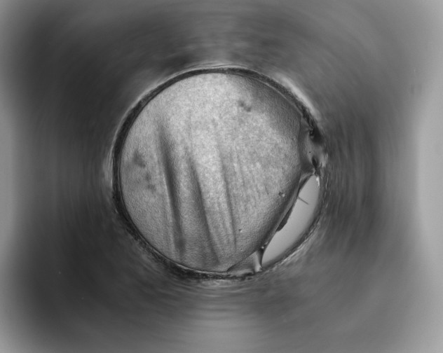 X0000091571173200709171052