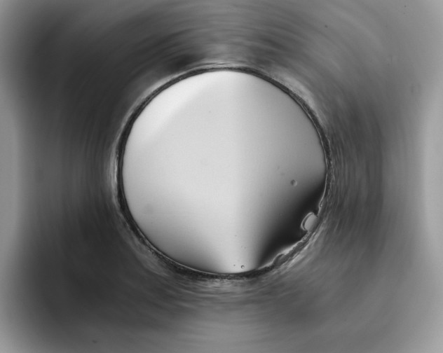 X0000091571179200709171052