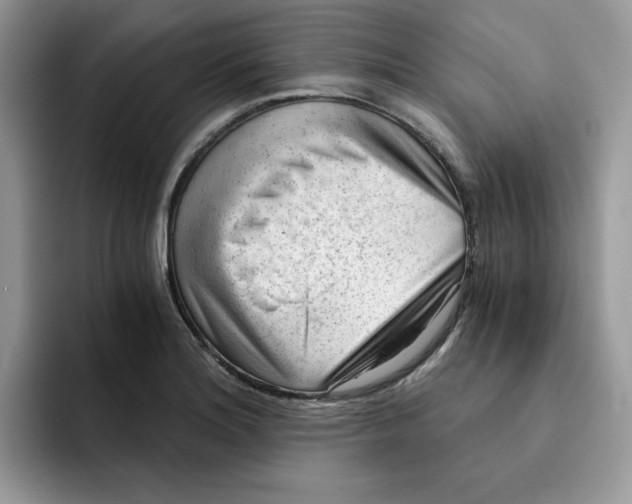 X0000091571180200709171052