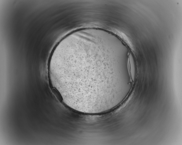 X0000091571184200709171052