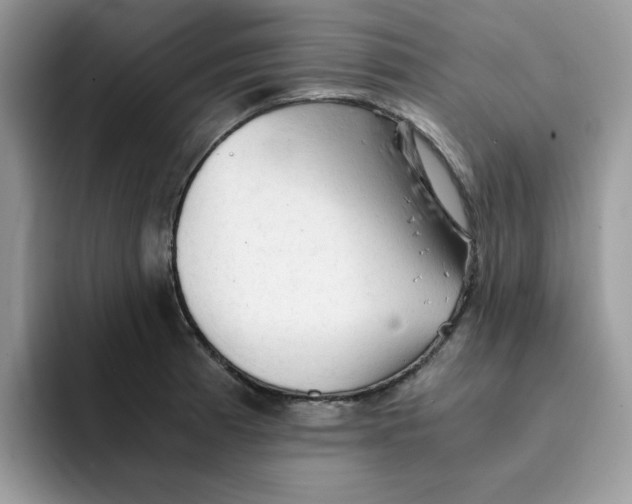 X0000091571185200709171052