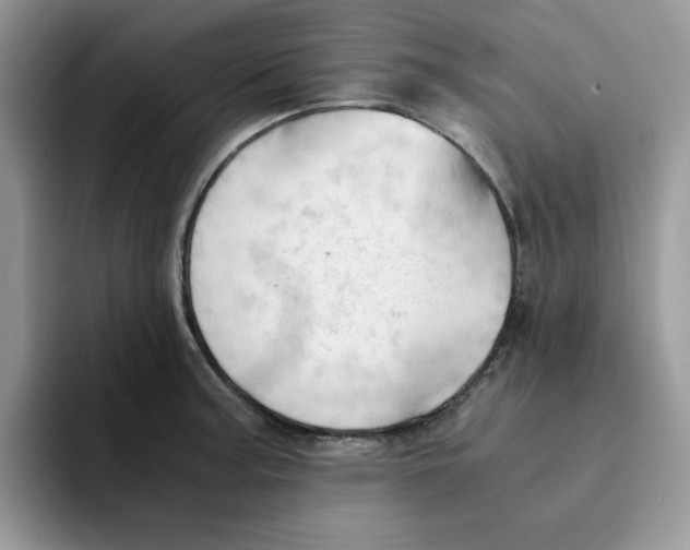 X0000091571187200709171052