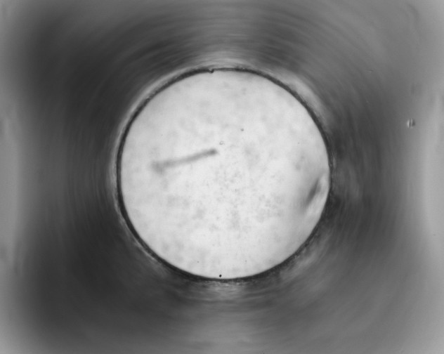 X0000091571191200709171052