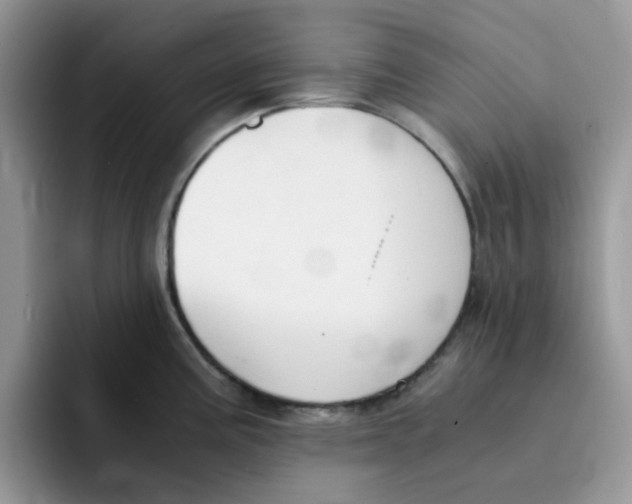 X0000091571195200709171052