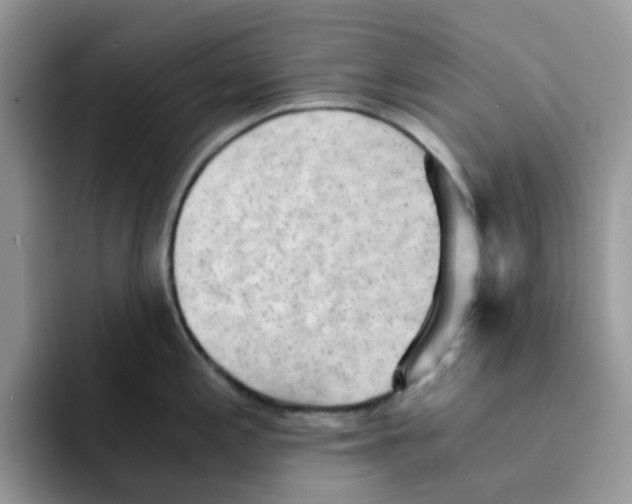 X0000091571197200709171052