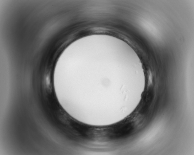 X0000091571198200709171052