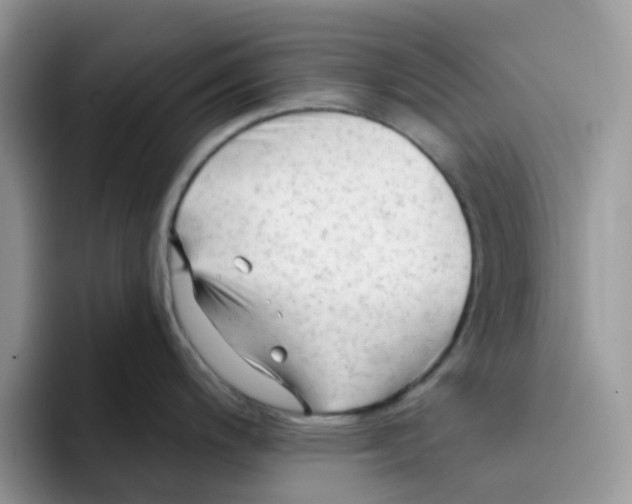 X0000091571200200709171052