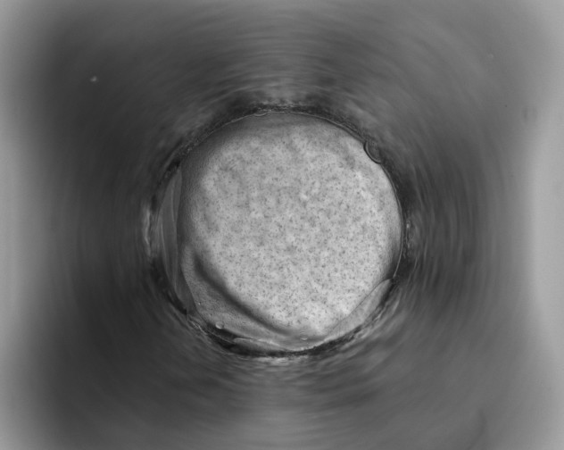 X0000091571202200709171051