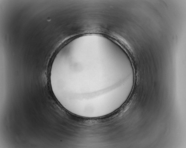 X0000091571212200709171051