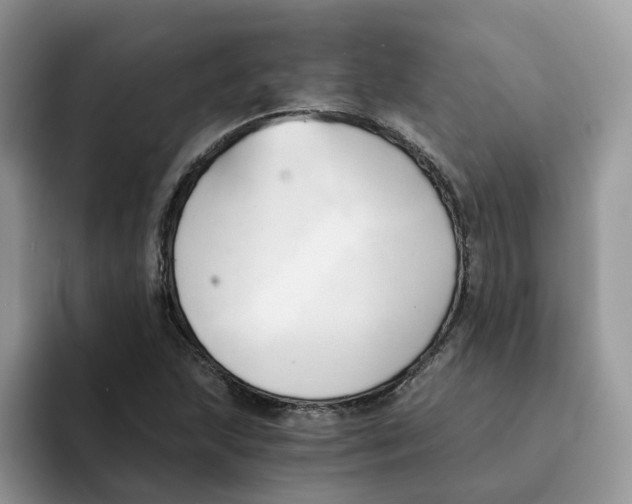 X0000091571215200709171051