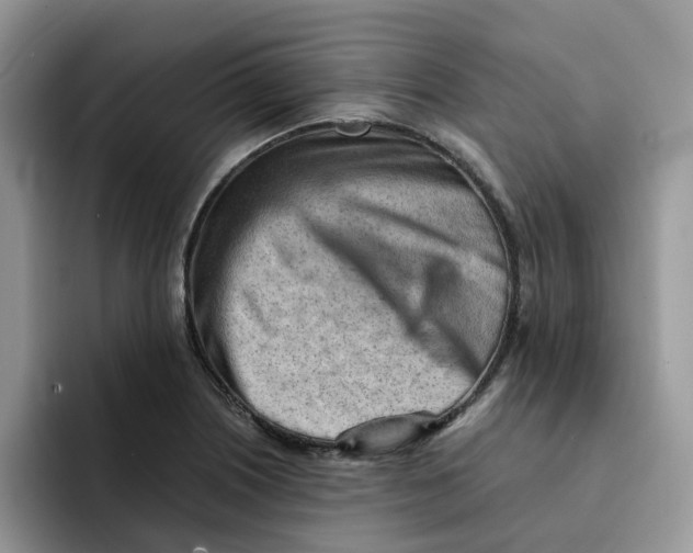 X0000091571226200709171051