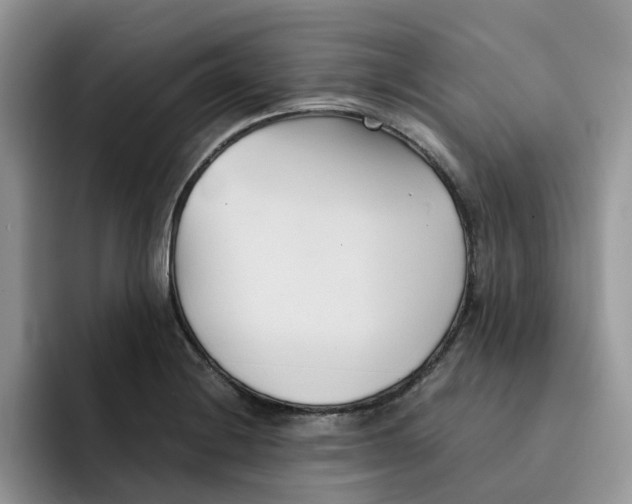 X0000091571228200709171051