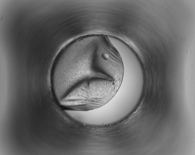 X0000091571230200709171051