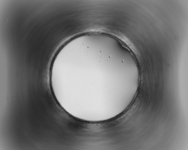 X0000091571232200709171051