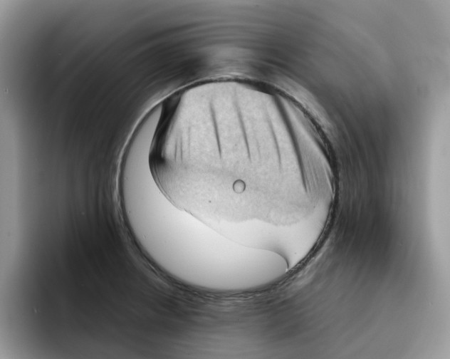 X0000091571234200709171051