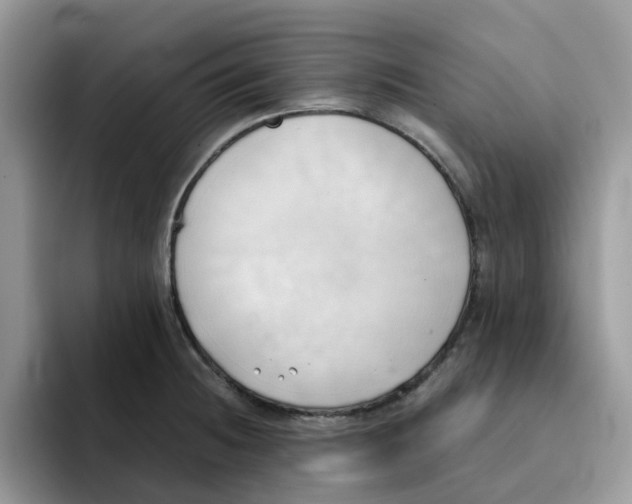 X0000091571236200709171051