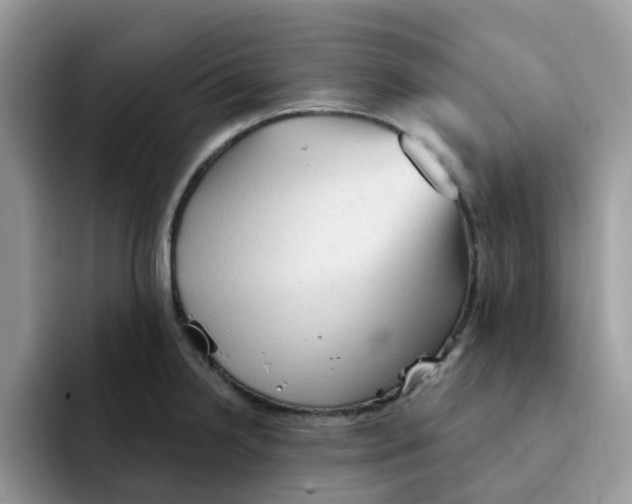 X0000091571238200709171051