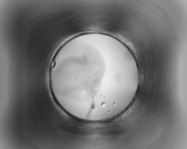 X0000091571239200709171051