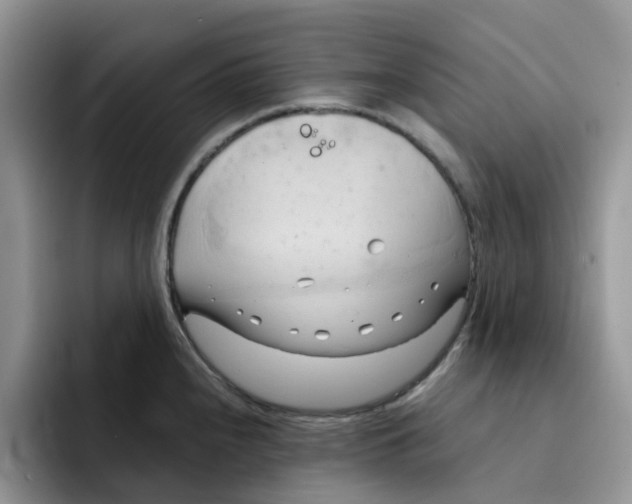 X0000091571240200709171052