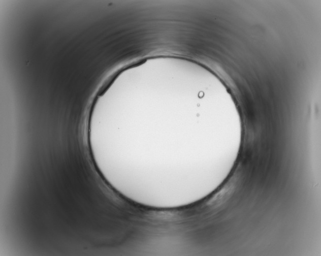 X0000091571246200709171052