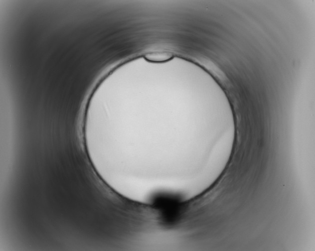 X0000091571248200709171052