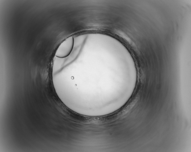 X0000091571259200709171051