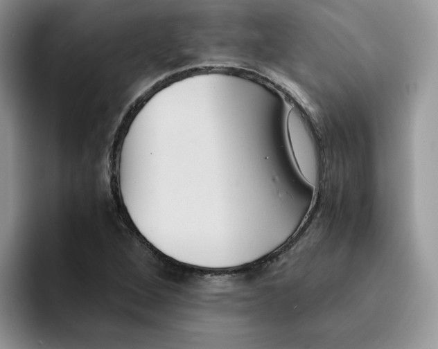 X0000091571264200709171051