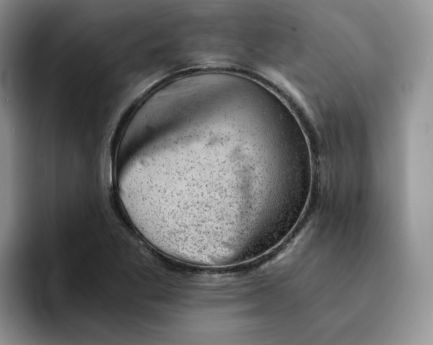 X0000091571269200709171051