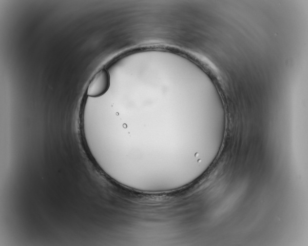 X0000091571279200709171051