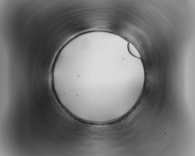 X0000091571284200709171051