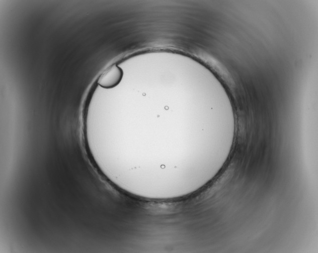 X0000091571286200709171051