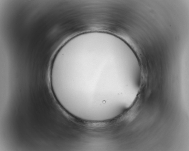 X0000091571294200709171051