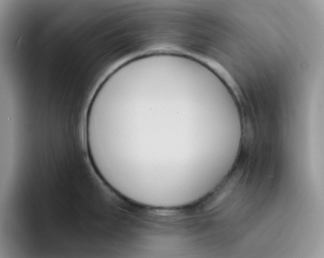 X0000091571295200709171051