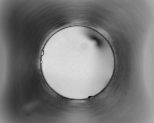 X0000091571296200709171050