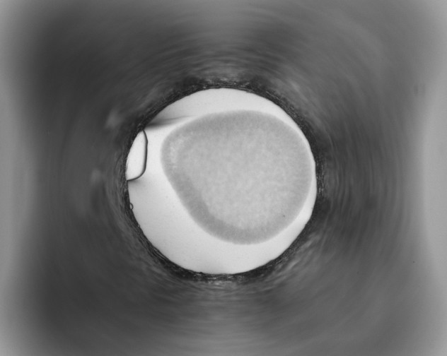 X0000091571297200709171050