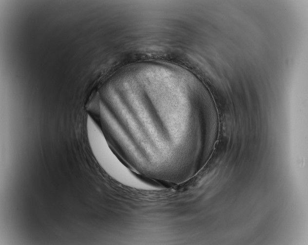 X0000091571298200709171050