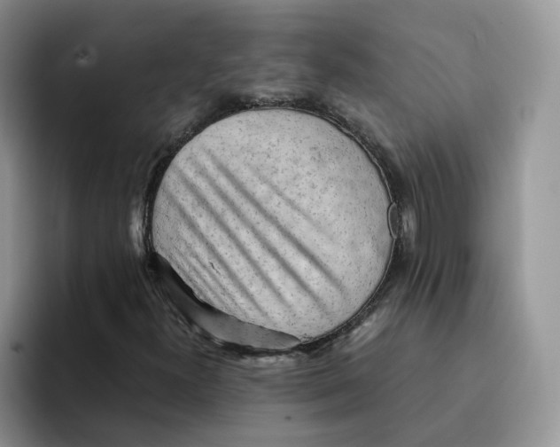 X0000091571300200709171050