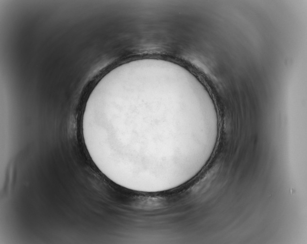 X0000091571309200709171050